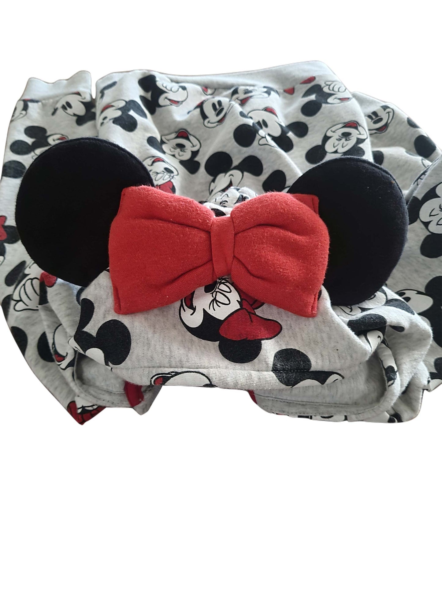 Minnie & Mickey Hoodie